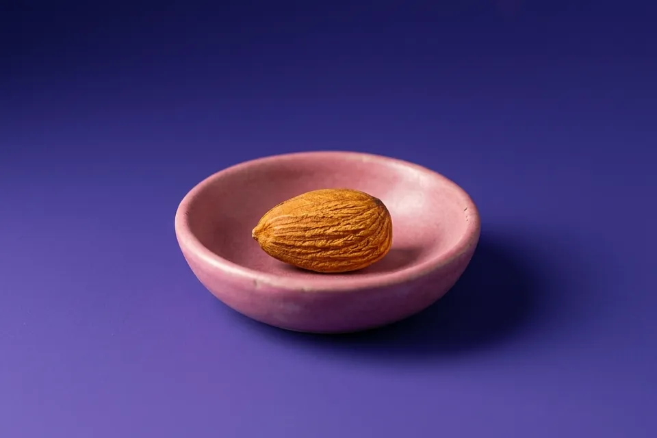 Una semilla dorada en el centro de un cuenco de cerámica rosa, sobre fondo violeta.